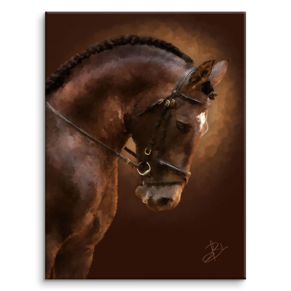 Septaria, portrait of a bay dressage horse in golden light, on a dark background — digital painting from the EquinEssence collection, Graph'Art Studio