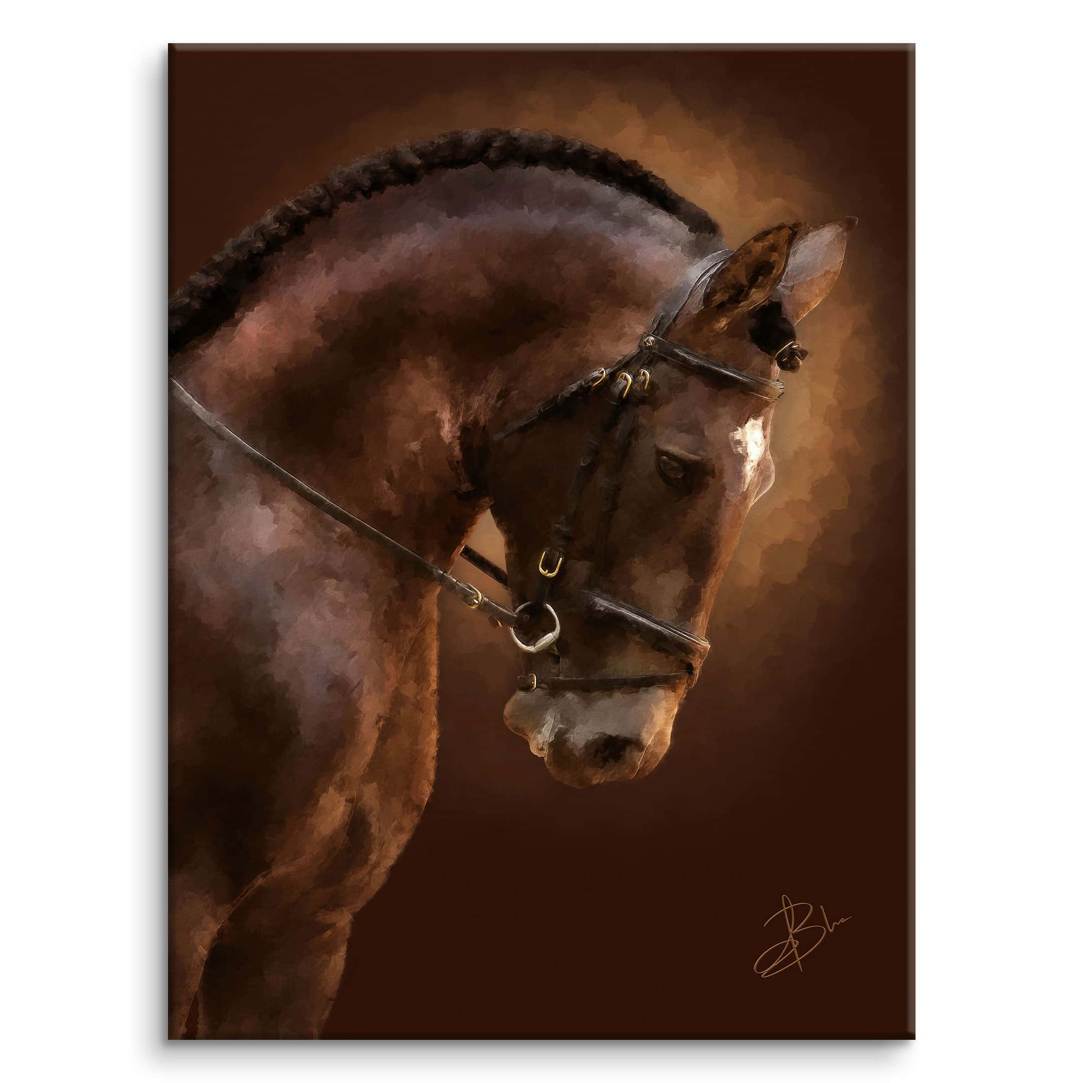 Septaria, portrait of a bay dressage horse in golden light, on a dark background — digital painting from the EquinEssence collection, Graph'Art Studio