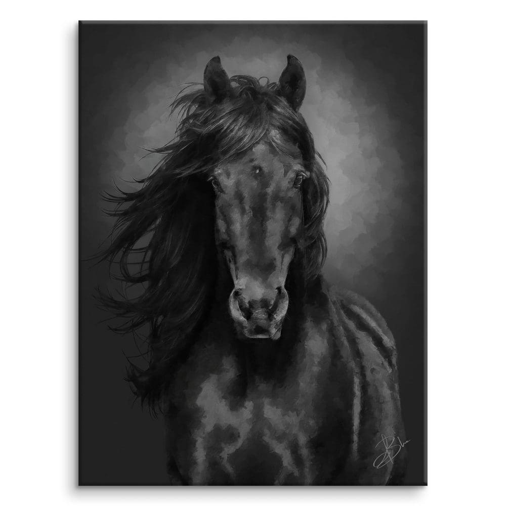 Hyperstene, portrait of a black stallion with a silky mane, bathed in golden light, on a dark background — digital painting from the EquinEssence collection, Graph'Art Studio